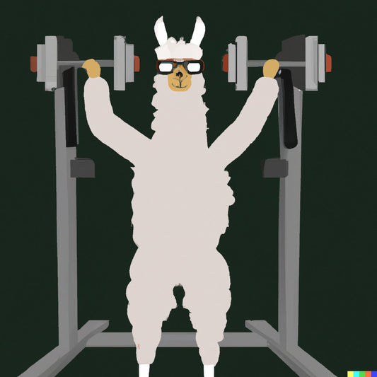 The Top 5 Workouts to Unleash Your Inner Beast and Embrace the Llama Spirit - Beast Llama - Clothing & More