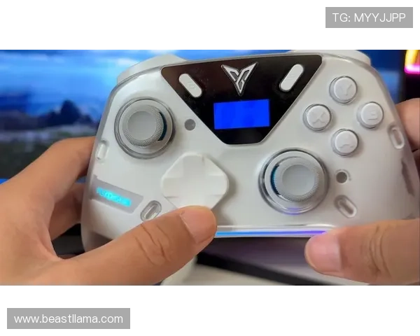 博鱼真人游戏用户评价与口碑分析帮助新手选择放心平台